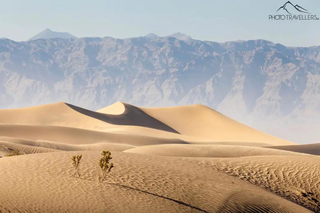 Die Mesquite Sanddünen 