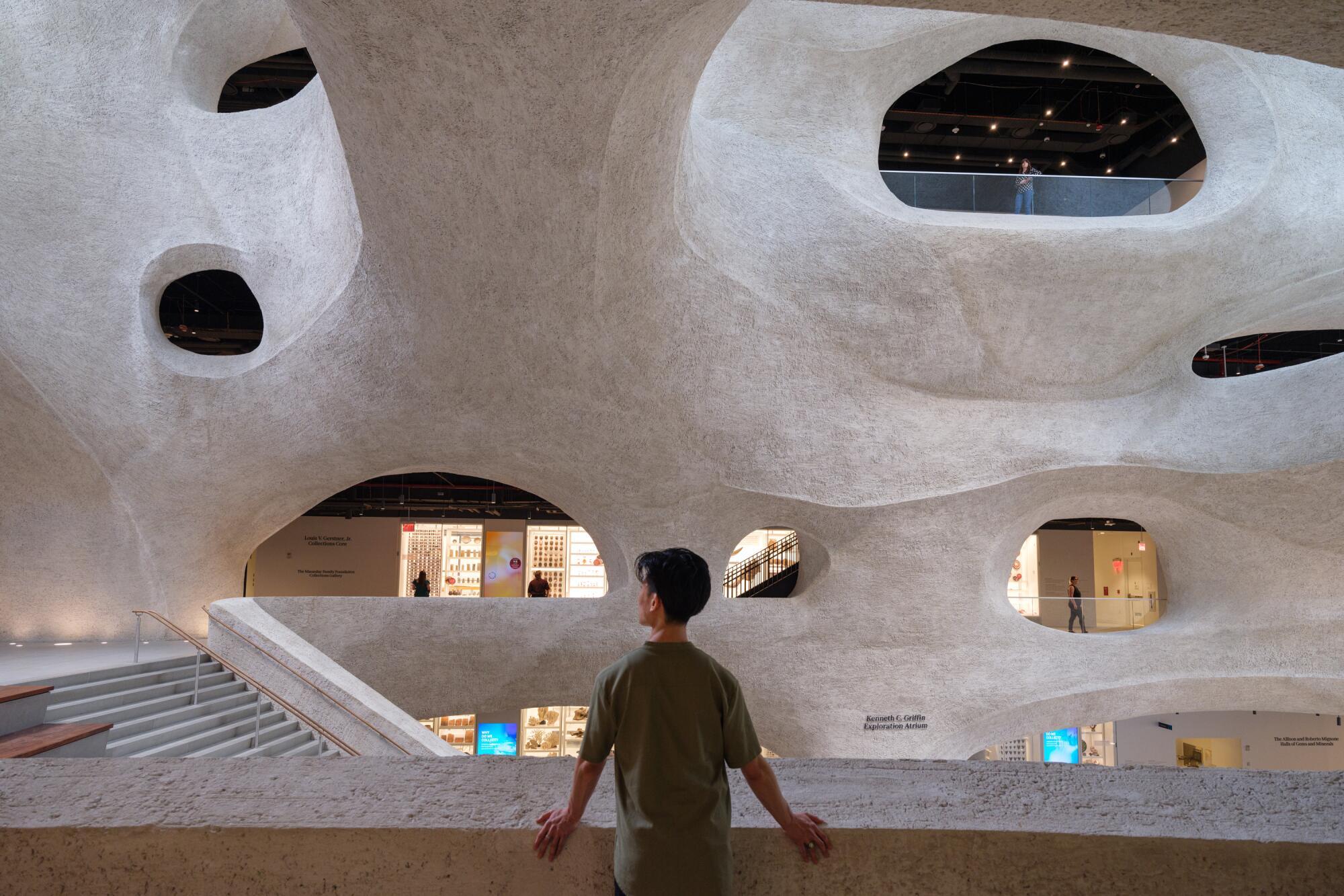 Jeanne Gang's Gilder Center reinvents the natural history museum ...