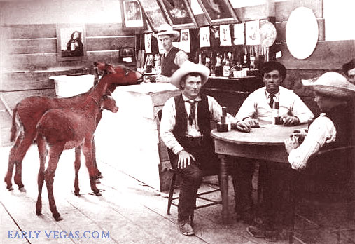 Donkey Bar