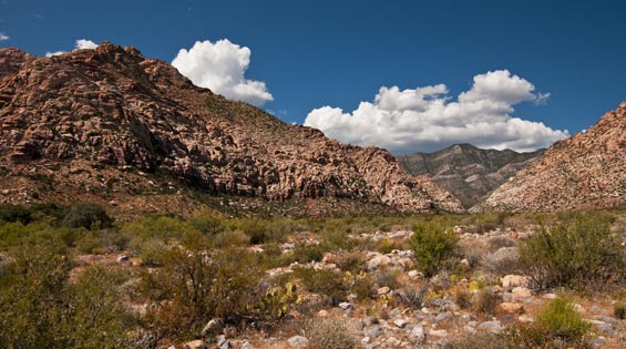 Vegas Red Rock Canyon Vegas Red Rock Canyon